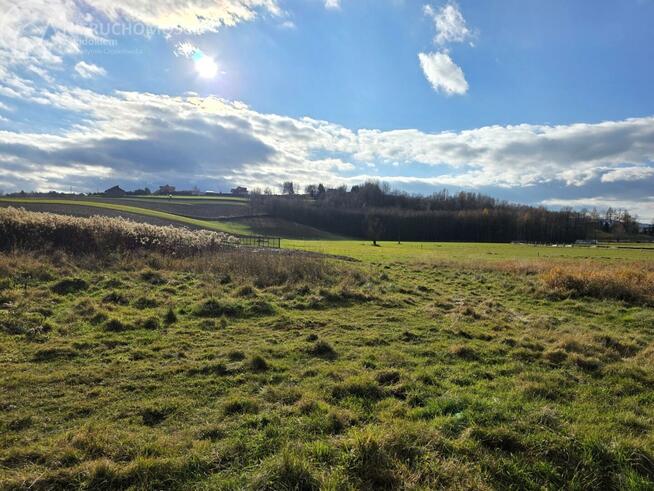 Działka rolno-budowlana Ryglice