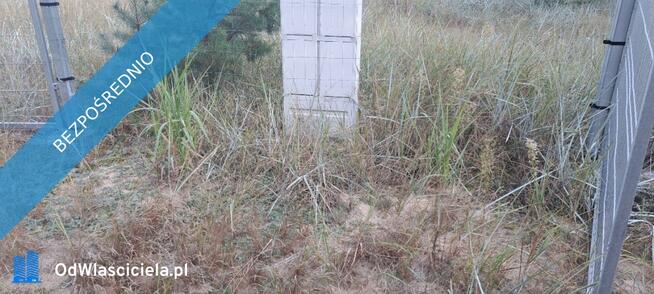 SPRZEDAM BEZPOŚREDNIO DZIAŁKI BUDOWLANE W PUSZCZY NOTECKIEJ 50 KM OD POZNANIA