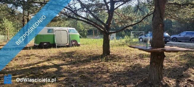 SPRZEDAM BEZPOŚREDNIO DZIAŁKI BUDOWLANE W PUSZCZY NOTECKIEJ 50 KM OD POZNANIA