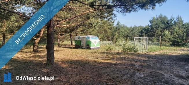 SPRZEDAM BEZPOŚREDNIO DZIAŁKI BUDOWLANE W PUSZCZY NOTECKIEJ 50 KM OD POZNANIA