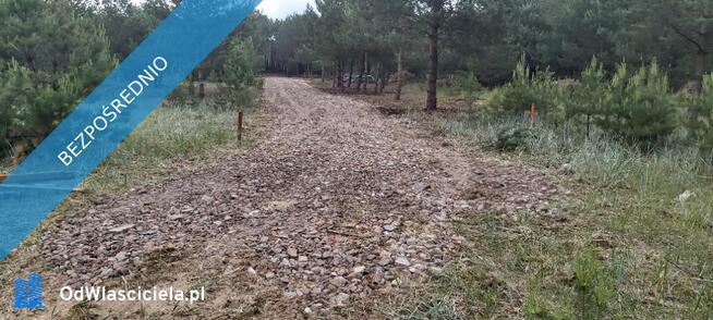 SPRZEDAM BEZPOŚREDNIO DZIAŁKI BUDOWLANE W PUSZCZY NOTECKIEJ 50 KM OD POZNANIA