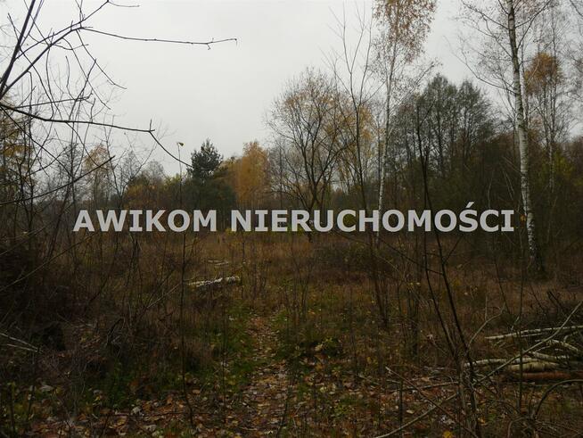 Działka rekreacyjna Wiskitki Antoniew