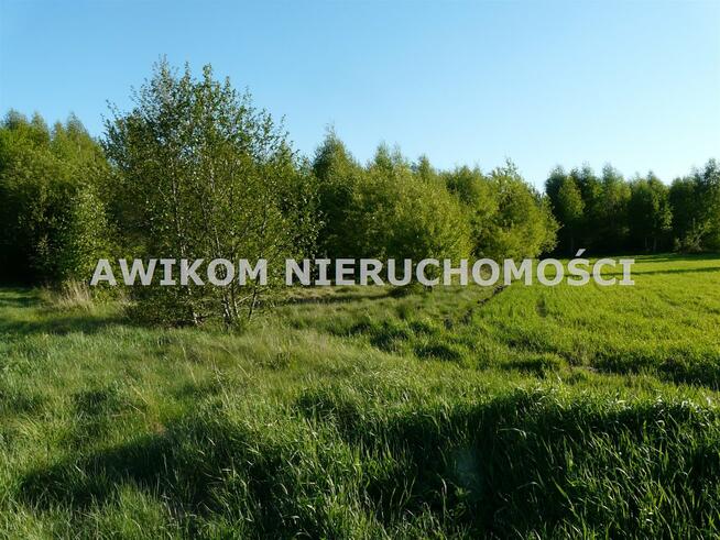 Działka siedliskowa Bełchów gm. Nieborów