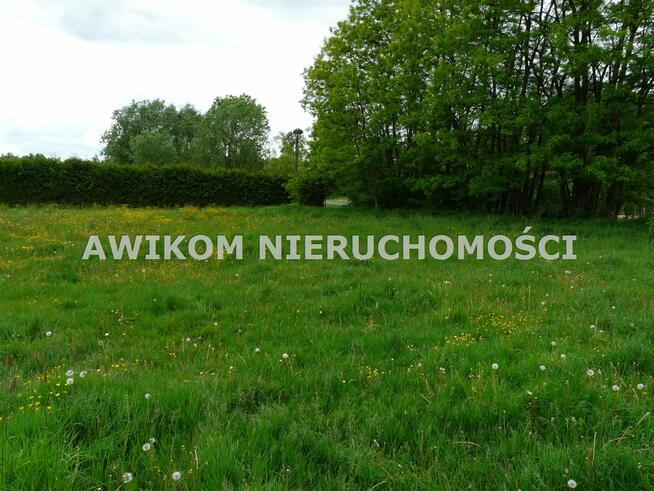 Działka siedliskowa Budy Chojnackie gm. Kowiesy