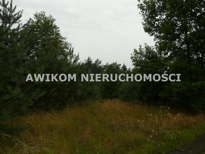 Działka inwestycyjna Skierniewice