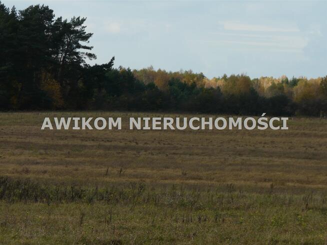 Działka rolna Puszcza Mariańska Wycześniak