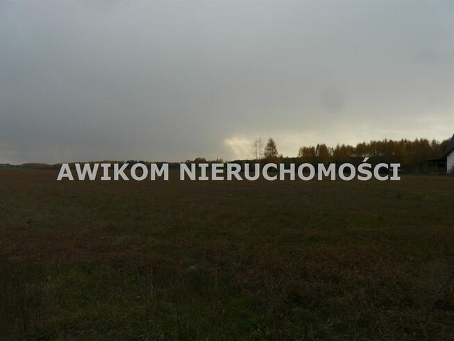 Działka siedliskowa Puszcza Mariańska Stary Łajszczew