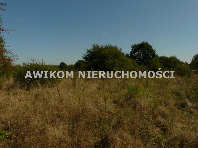 Działka inwestycyjna Skierniewice