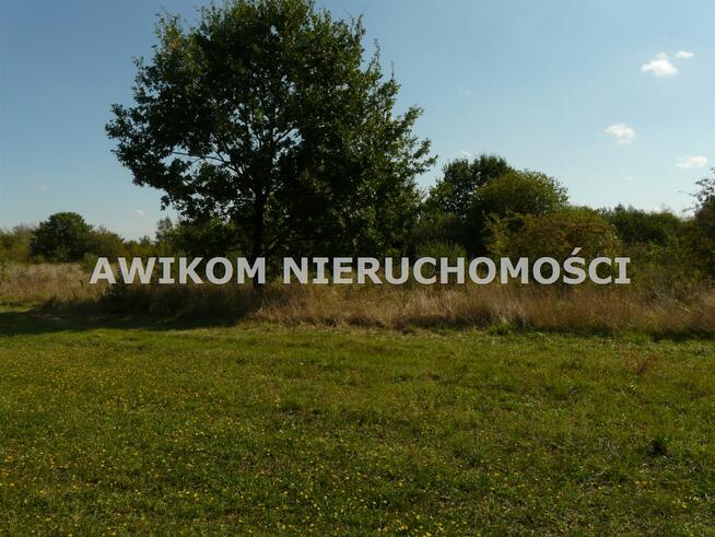 Działka inwestycyjna Skierniewice