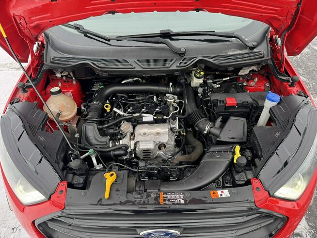 Ford EcoSport 1.0 / 125KM ST-LINE LED Nawigacja Półskóra Bang&Olufsen