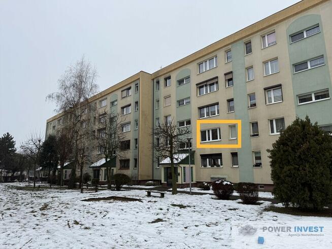 Dwa pokoje, pierwsze piętro, balkon, piwnica, park