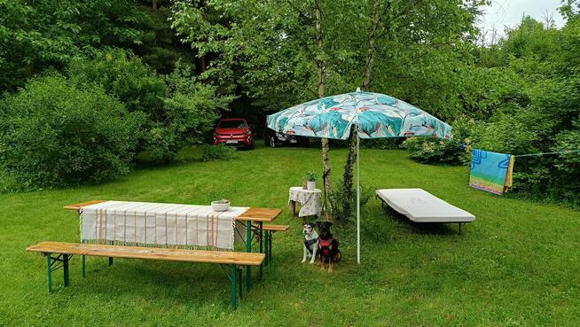 Dom Pisary gm. Międzylesie