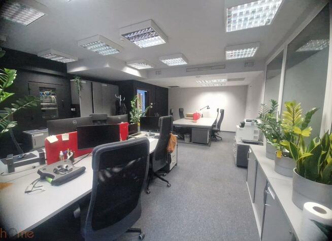 Lokal użytkowy Wrocław Stare Miasto, Tęczowa