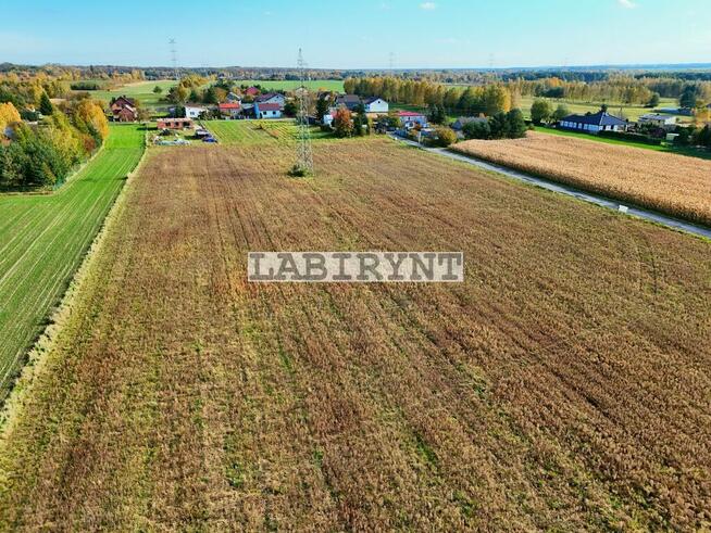 Rzerzęczyce 1,2ha 17 działek budowlanych cena+VAT