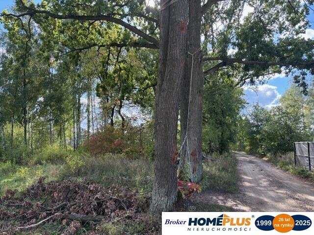 Działka siedliskowa 1,4 ha koło Radzymina