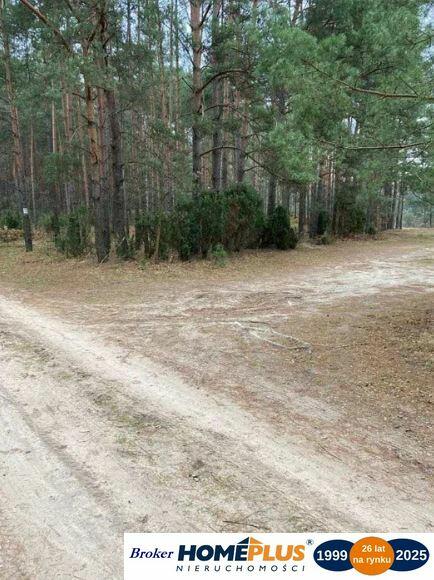 Działka leśna 2,31 ha, w Łosie koło Radzymina