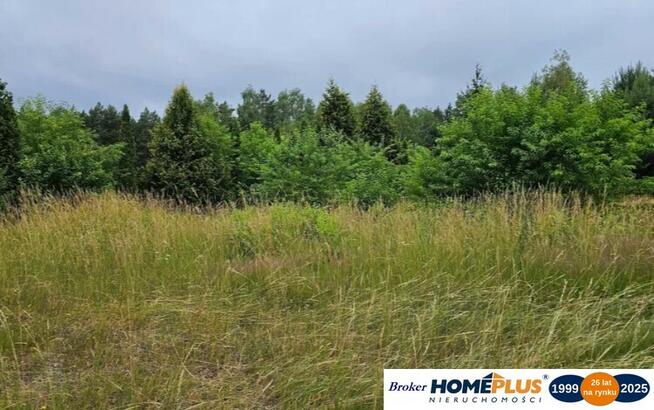 Działka 2457 m² położona przy lesie, media.