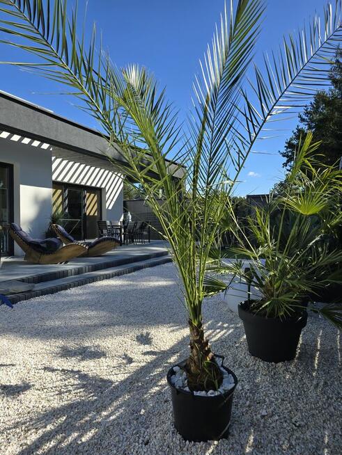 Sprzedam Okazja Black Weekend z 1299 000 zl na 1100 000 zl)