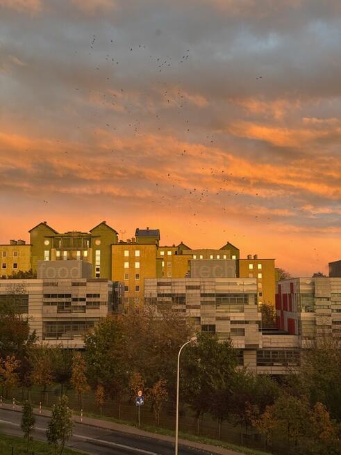 Jasne Mieszkanie Wykończone Wyposażone 50m + Duży balkon