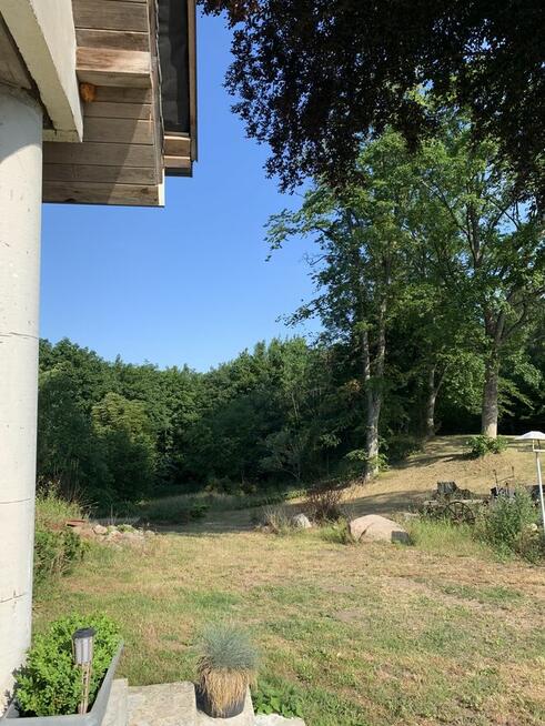 Posiadłość siedlisko