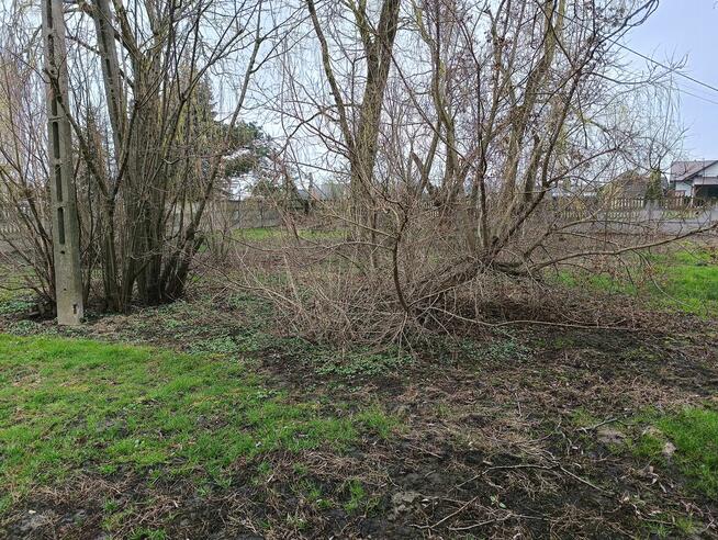 Sprzedam działkę z domem, 35 ar