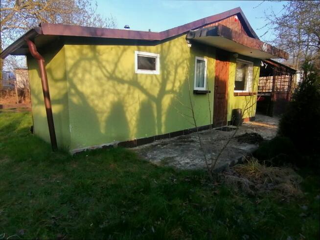 Działka rekreacyjna ROD nad strumykiem