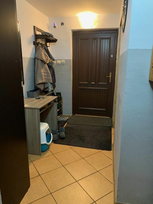 Jesionka gm. Wiskitki - nieduży dom na działce 1083 mkw