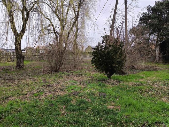 Sprzedam działkę z domem, 35 ar