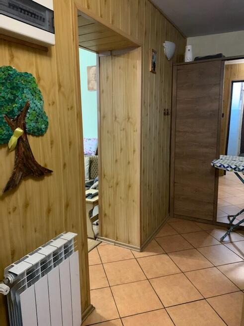 Jesionka gm. Wiskitki - nieduży dom na działce 1083 mkw