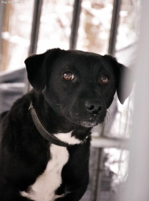 Jacky vel Pietruszka ️???? Następną zimę chciałaby spędzić w