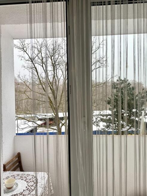 Wynajmę mieszkanie we Włocławku