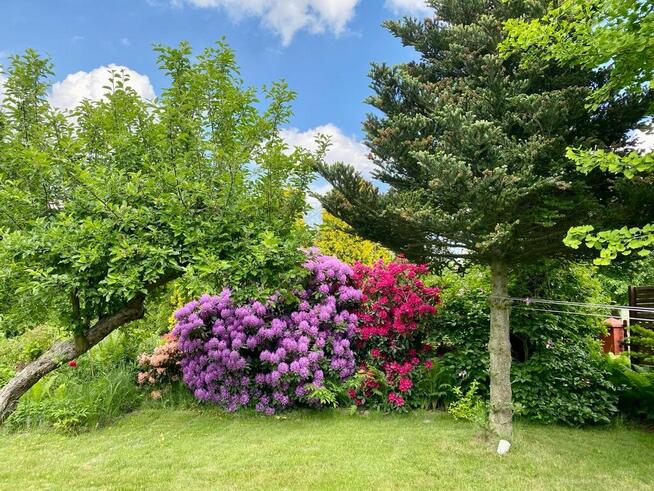 Dom całoroczny 60 m² + działka 13,5 ar + drewniany domek 30