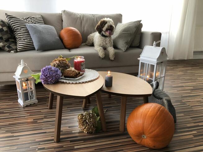 Apartamenty, noclegi, pokoje na wynajem Wisła