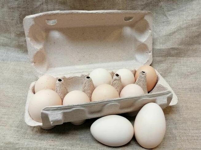 Świeże jaja z przydomowego kurnika!