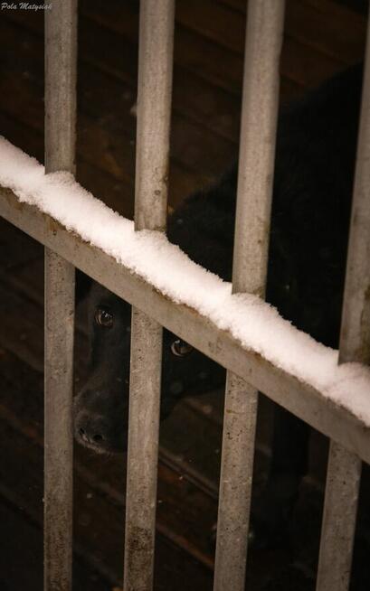 Jacky vel Pietruszka ️???? Następną zimę chciałaby spędzić w