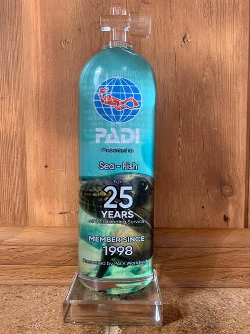 ELearning na kurs nurkowania PADI Dry Suit Diver