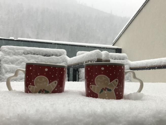 Apartamenty, noclegi, pokoje na wynajem Wisła