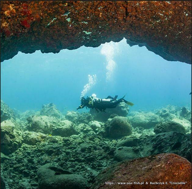 ELearning na kurs nurkowania PADI Nitrox Diver