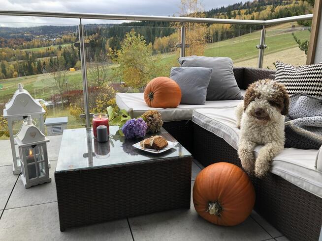 Apartamenty, noclegi, pokoje na wynajem Wisła