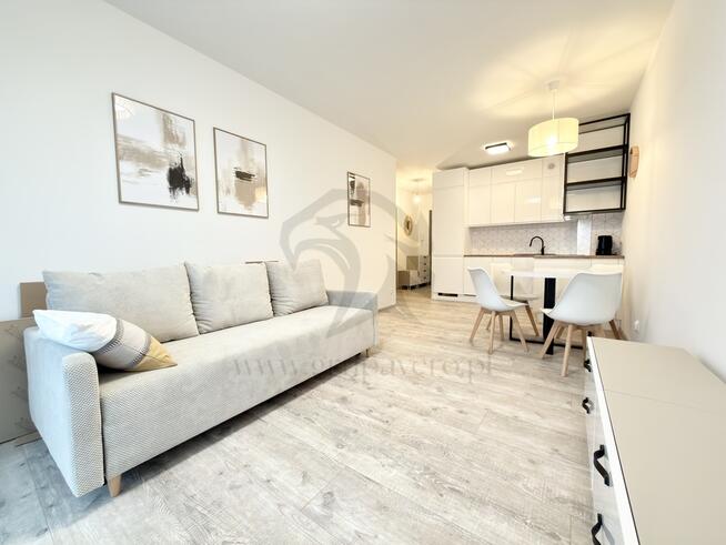 Czerwone jabłko z robakami ?