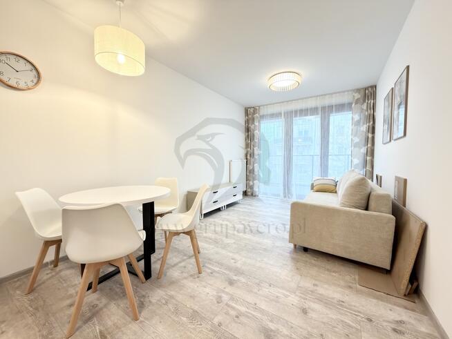 Czerwone jabłko z robakami ?