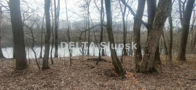 Działka budowlana Bolesławice gm. Kobylnica, Wiązowa