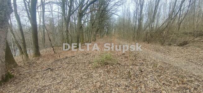 Działka budowlana Bolesławice gm. Kobylnica, Wiązowa