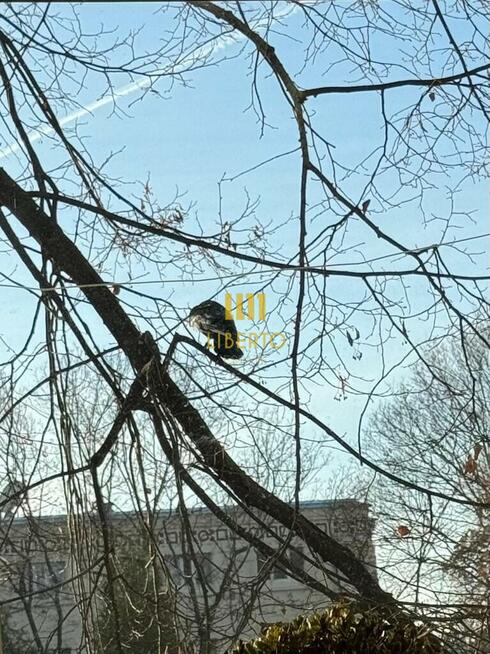 2 pok, kamienica, ul. Karmelicka