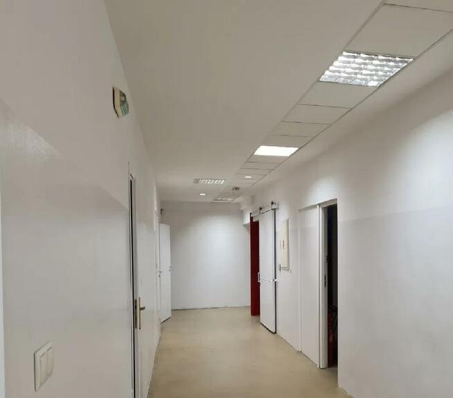 PRODUKCJA - MAGAZYN - Kobyłka