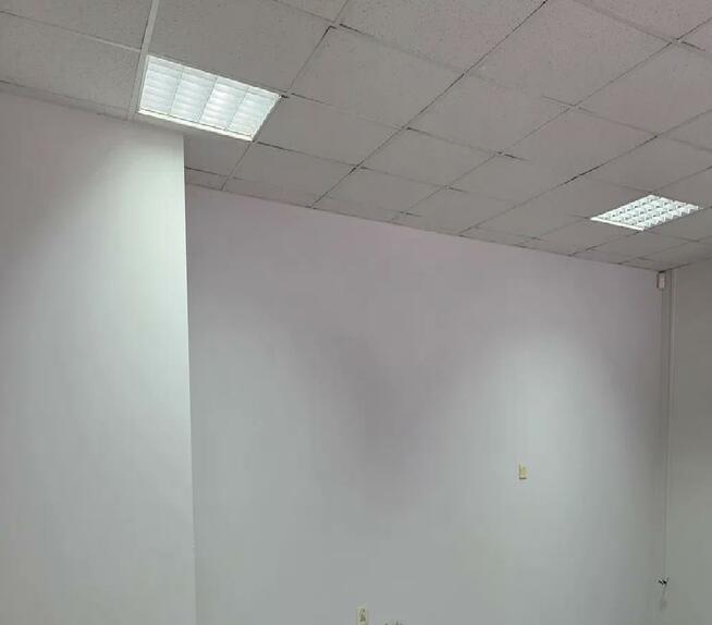 Lokal pod usługi, produkcję, biura - Kobyłka