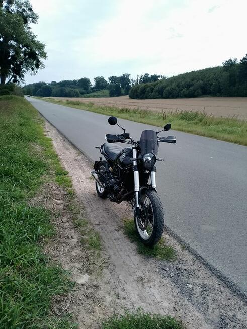 Benelli Leoncino 500 scrambler