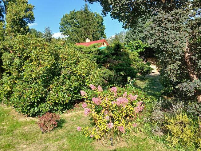 Dzialka Rod OkAzJa , MeGa ZaDbAnA