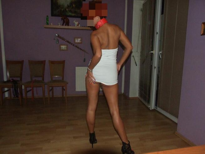 paru PRZYJACIÓŁ szukamy