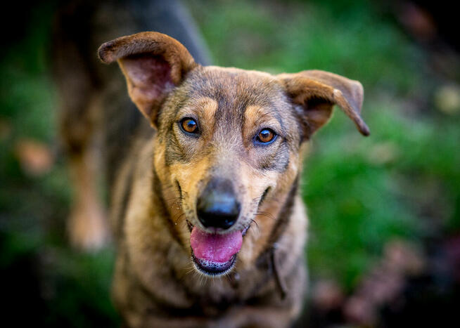 Kromka czeka na kogoś, kto pokocha ją na zawsze